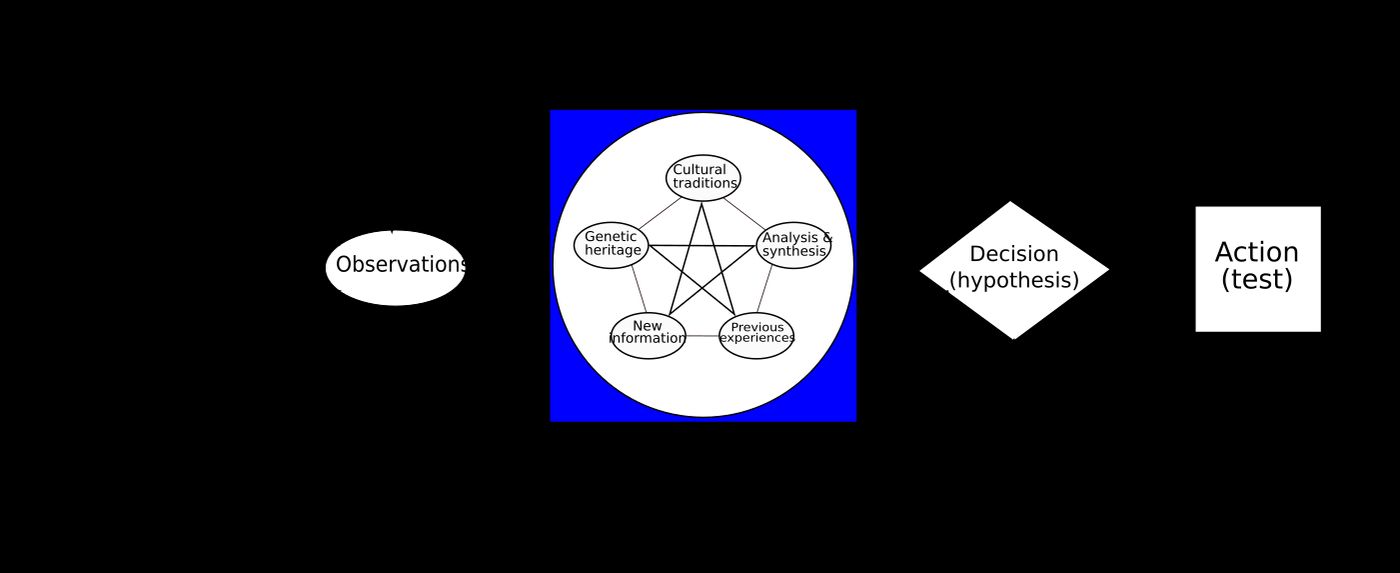 Diagram of the OODA loop: Observe, Orient, Decide, Act.